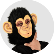 サル