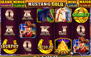 Mustang Gold