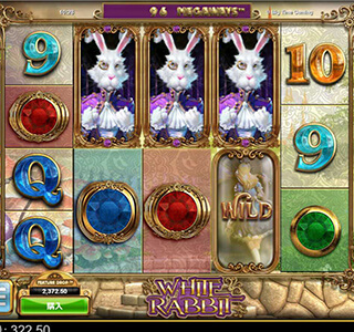 White Rabbit