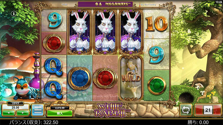 White Rabbit スキャッターが3個揃った