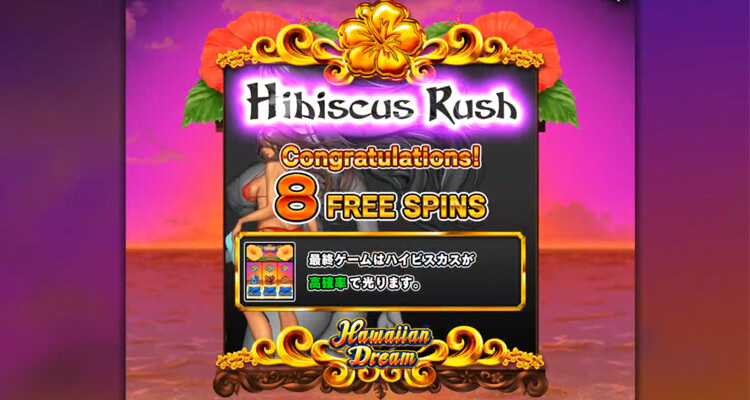ハワイアンドリームボーナス突入画面