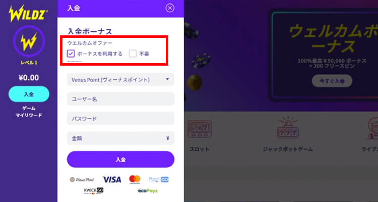 ワイルズカジノ入金方法
