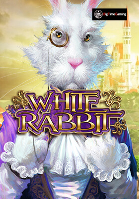 White Rabbit