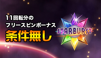 ビデオスロッツボーナス