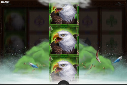 Spirit of the Beastの見どころ