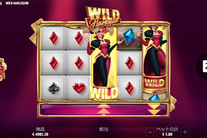 Wild Harlequinの見どころ