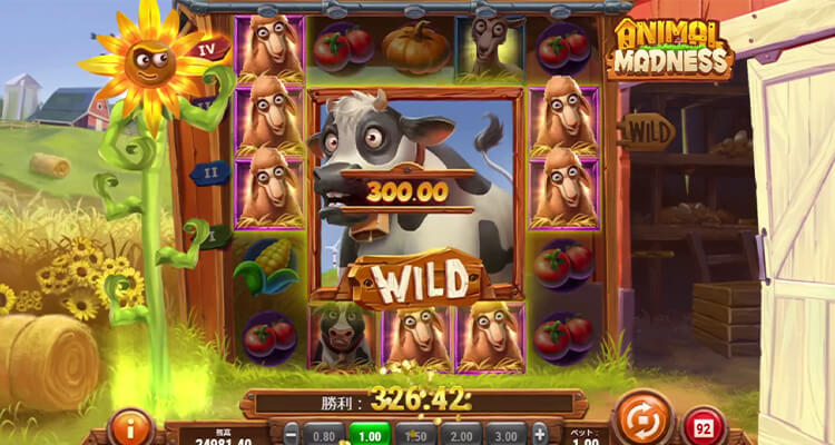 高額配当が期待できるパターンとは？