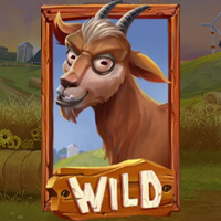 1 Wild Goat（やぎ）