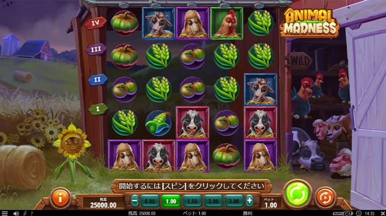 Animal Madness