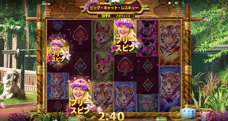 フリースピンボーナス