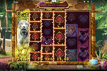 Big Cat Rescue Megawaysの見どころ
