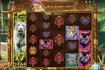 Big Cat Rescue Megaways