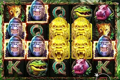 Gorilla Mayhemの見どころ