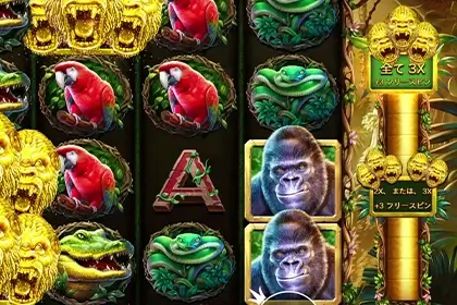 Gorilla Mayhemの見どころ