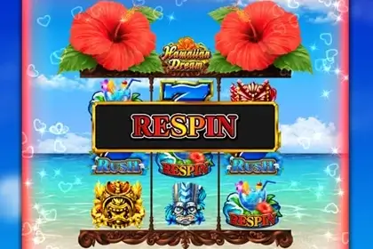 Hawaiian Dreamのポイント