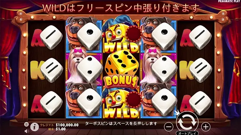 The Dog House Dice Show