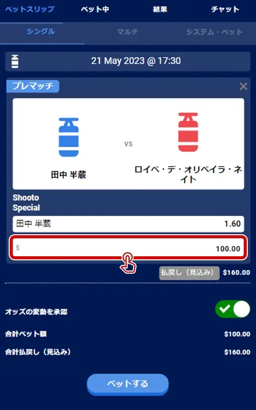 BeeBetスペシャルベット方法