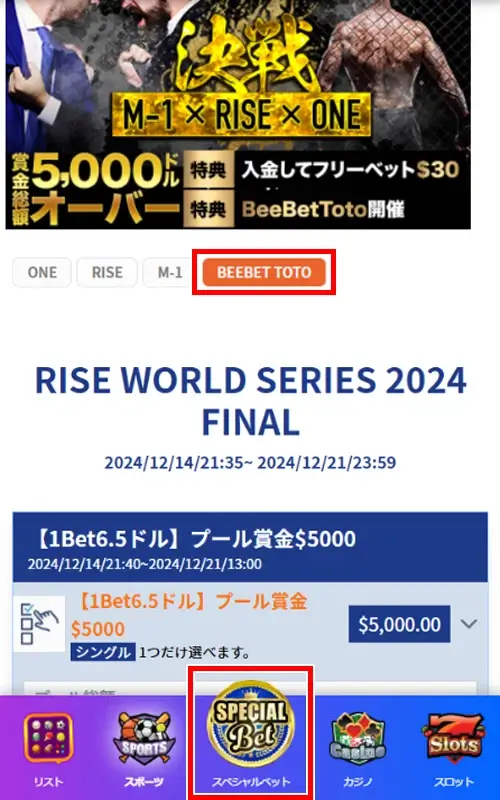 BeeBet Toto（ビーベット・トト）の賭け方