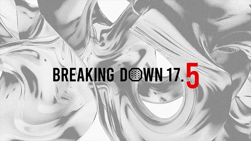 Breaking Down 17.5